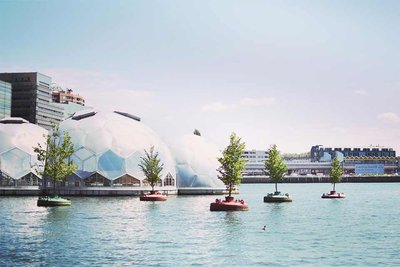 Floating trees on Rotterdam harbour